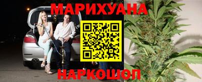 крисы Нальчик