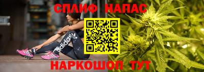 сатива Нарткала