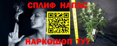 крисы Нальчик